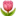 🌷